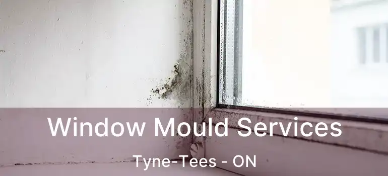  Window Mould Services Tyne-Tees - ON