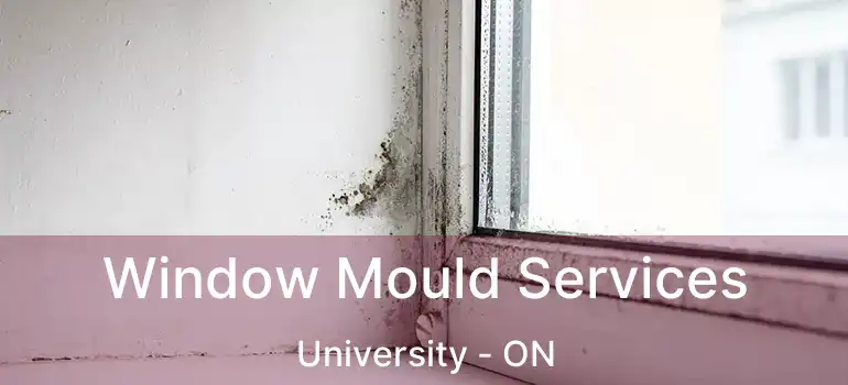  Window Mould Services University - ON