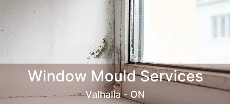  Window Mould Services Valhalla - ON