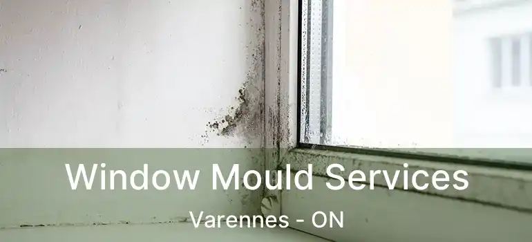  Window Mould Services Varennes - ON