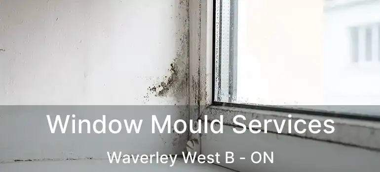  Window Mould Services Waverley West B - ON