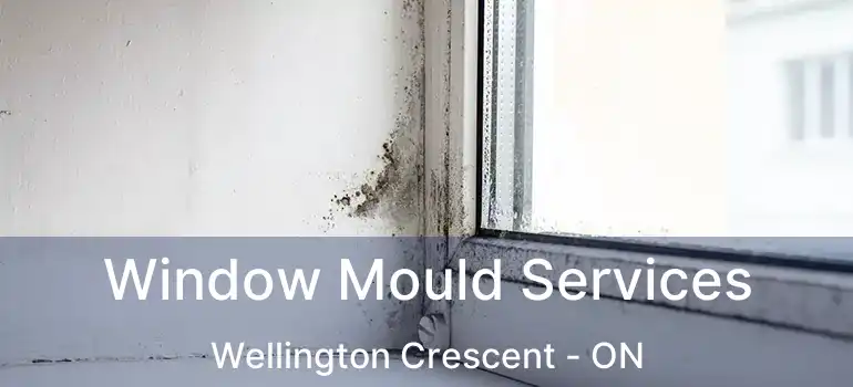  Window Mould Services Wellington Crescent - ON