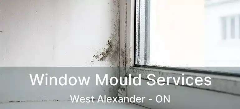  Window Mould Services West Alexander - ON