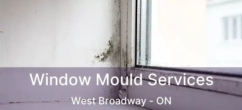  Window Mould Services West Broadway - ON