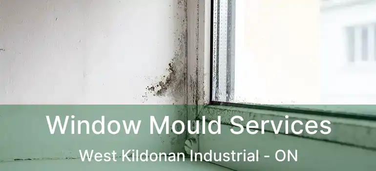  Window Mould Services West Kildonan Industrial - ON