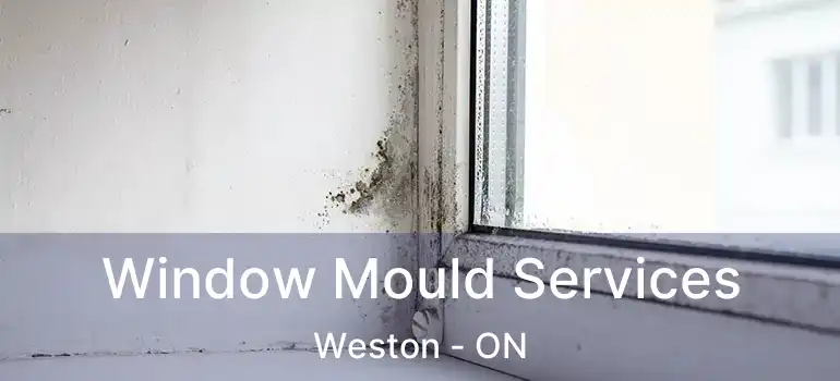  Window Mould Services Weston - ON