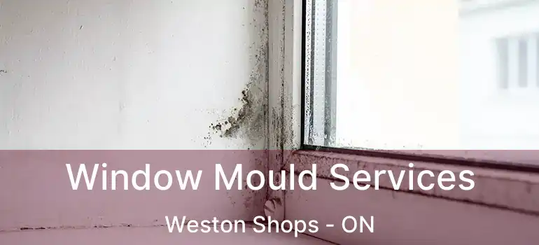  Window Mould Services Weston Shops - ON