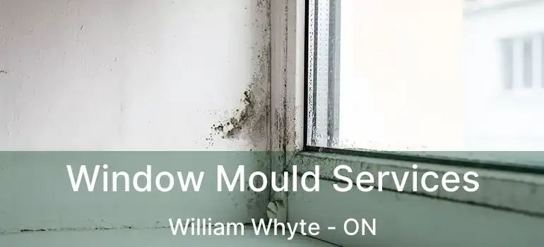  Window Mould Services William Whyte - ON
