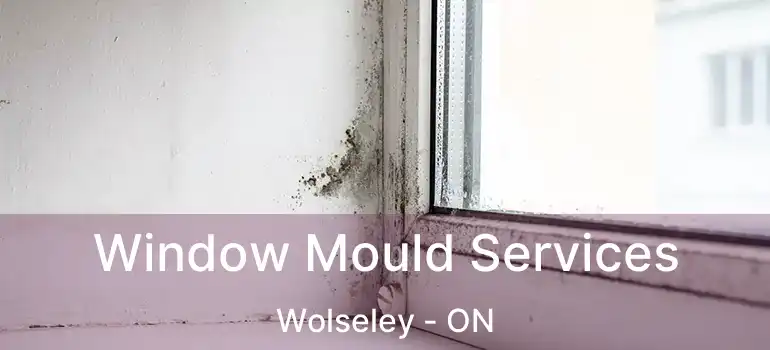  Window Mould Services Wolseley - ON