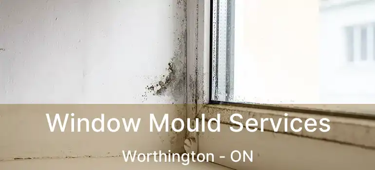  Window Mould Services Worthington - ON