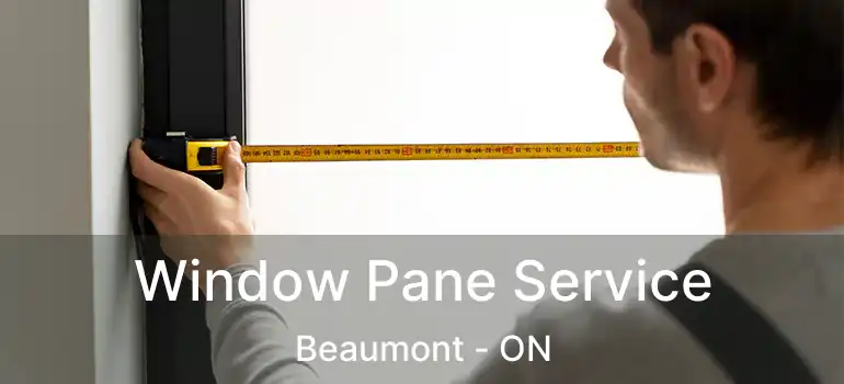  Window Pane Service Beaumont - ON