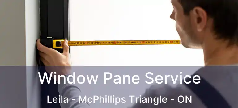 Window Pane Service Leila - McPhillips Triangle - ON