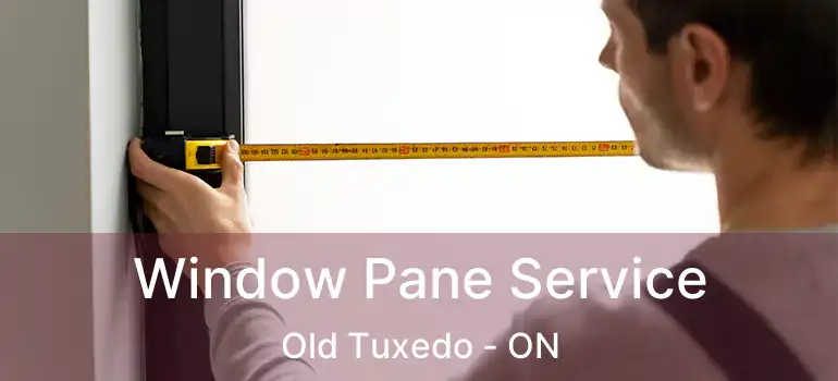  Window Pane Service Old Tuxedo - ON