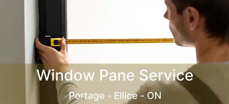  Window Pane Service Portage - Ellice - ON