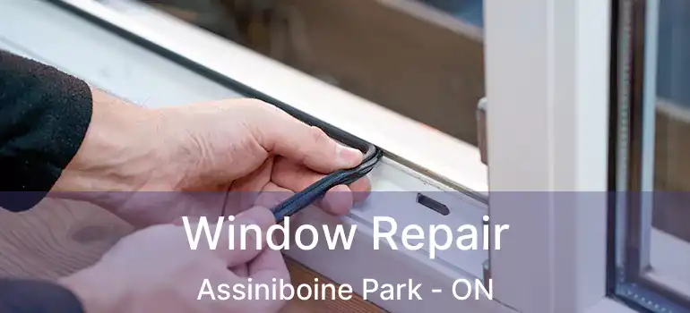  Window Repair Assiniboine Park - ON