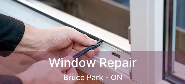  Window Repair Bruce Park - ON