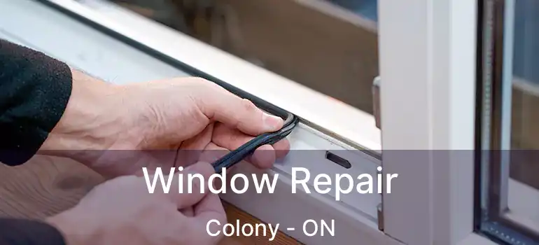  Window Repair Colony - ON