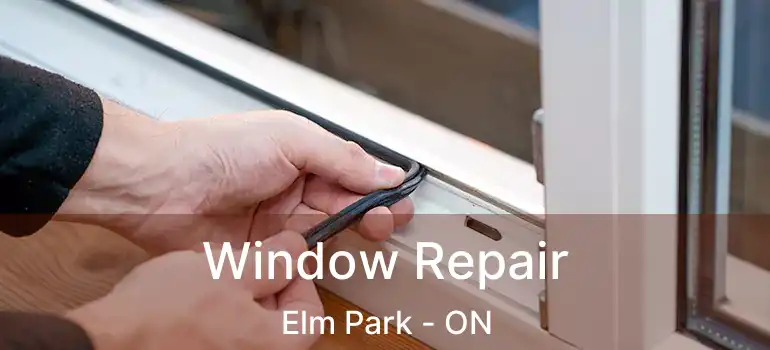  Window Repair Elm Park - ON