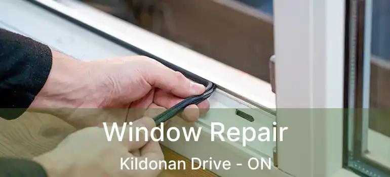  Window Repair Kildonan Drive - ON
