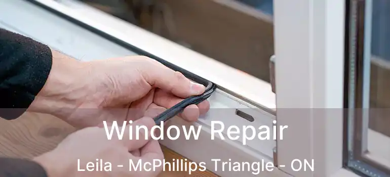  Window Repair Leila - McPhillips Triangle - ON