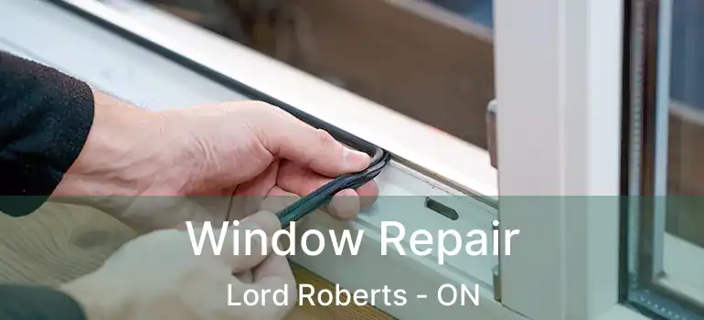  Window Repair Lord Roberts - ON