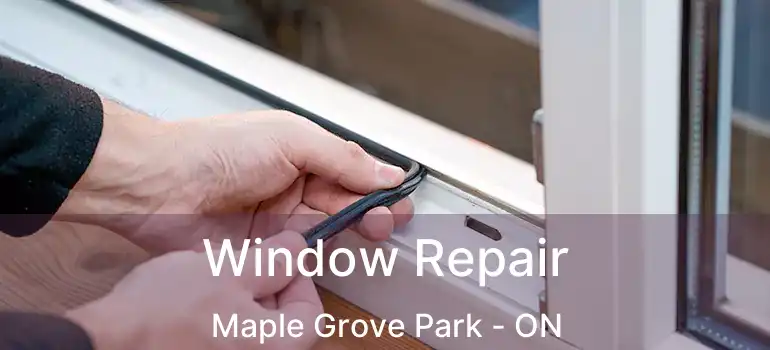  Window Repair Maple Grove Park - ON