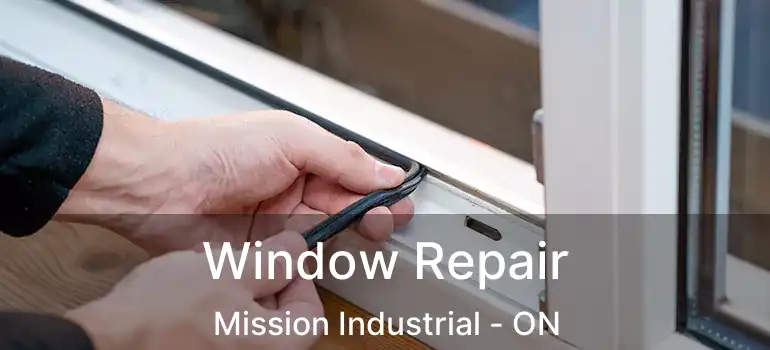  Window Repair Mission Industrial - ON