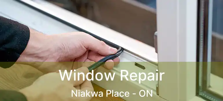  Window Repair Niakwa Place - ON