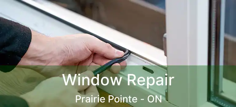  Window Repair Prairie Pointe - ON