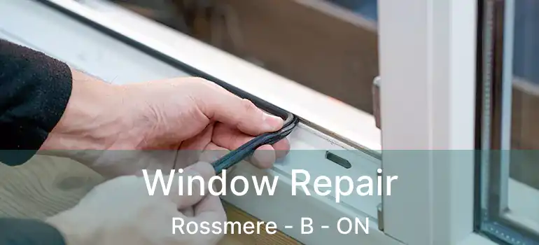  Window Repair Rossmere - B - ON