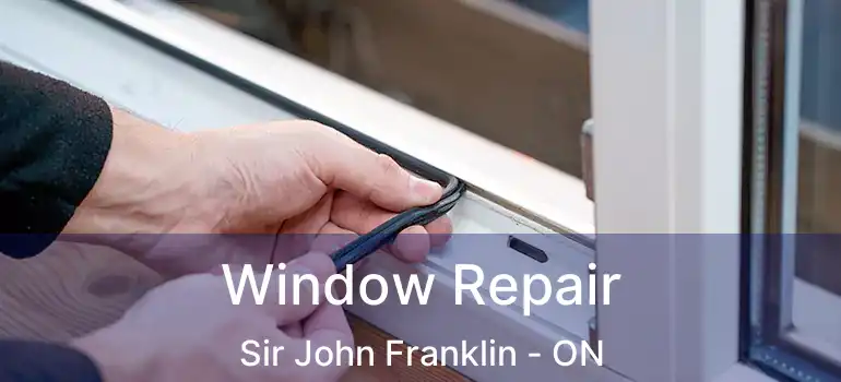  Window Repair Sir John Franklin - ON