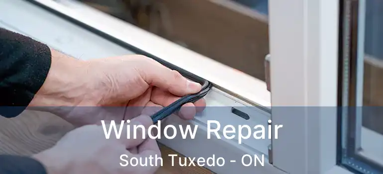  Window Repair South Tuxedo - ON