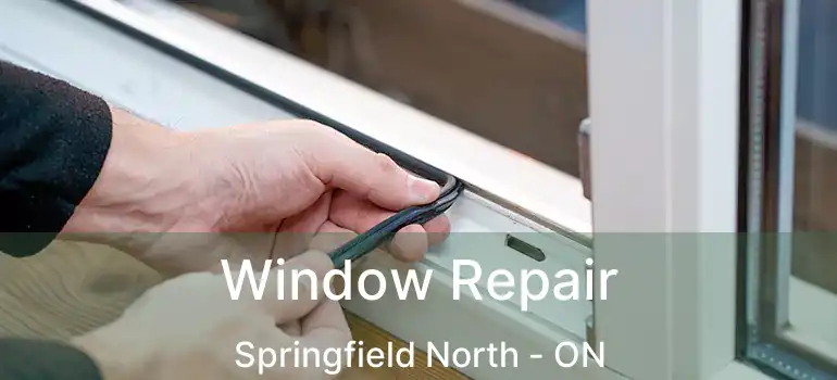  Window Repair Springfield North - ON