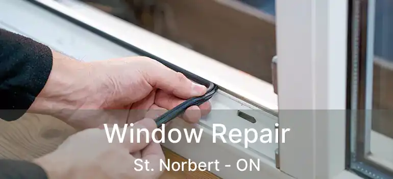  Window Repair St. Norbert - ON