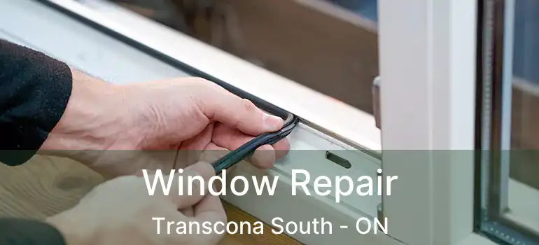  Window Repair Transcona South - ON