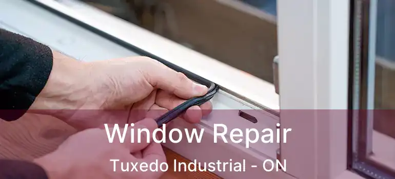  Window Repair Tuxedo Industrial - ON