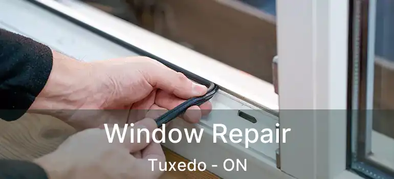  Window Repair Tuxedo - ON