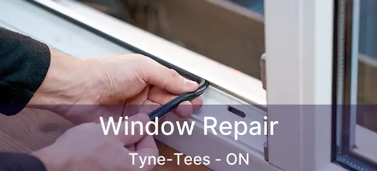  Window Repair Tyne-Tees - ON