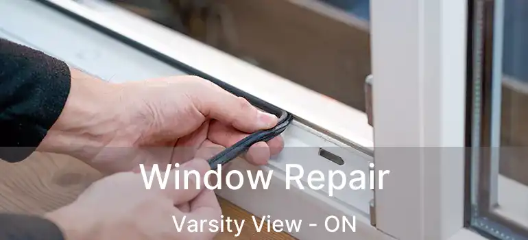  Window Repair Varsity View - ON