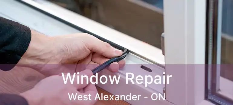  Window Repair West Alexander - ON