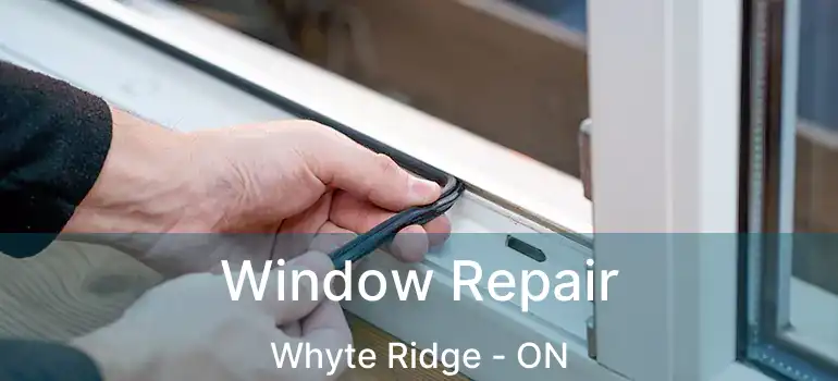  Window Repair Whyte Ridge - ON