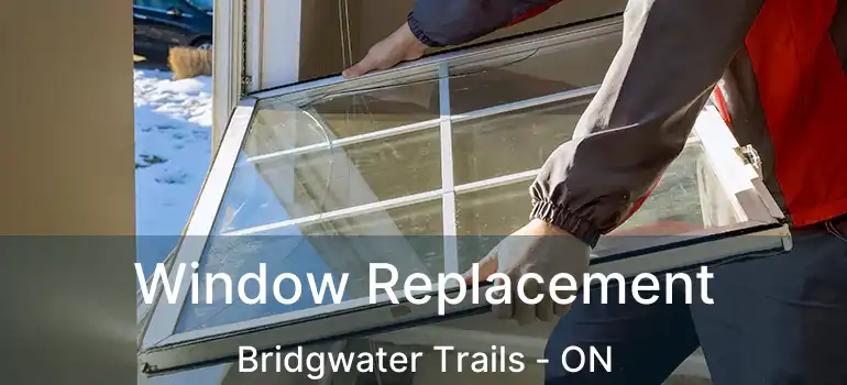  Window Replacement Bridgwater Trails - ON