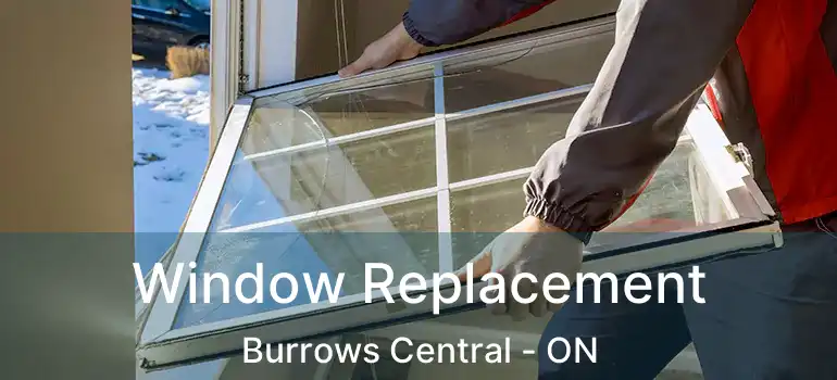  Window Replacement Burrows Central - ON