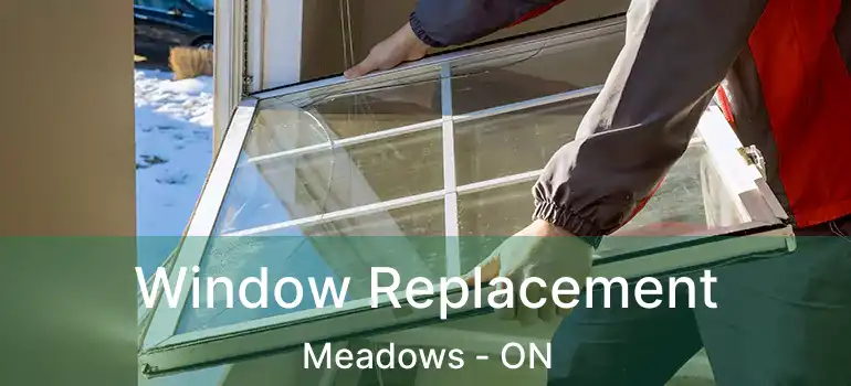  Window Replacement Meadows - ON
