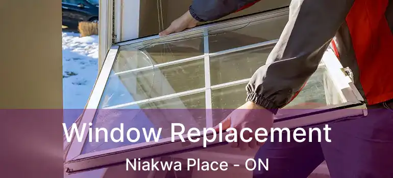  Window Replacement Niakwa Place - ON