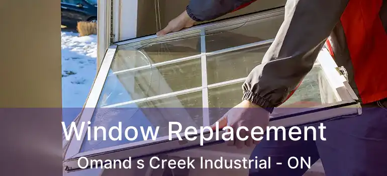  Window Replacement Omand s Creek Industrial - ON