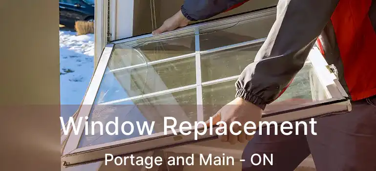  Window Replacement Portage and Main - ON