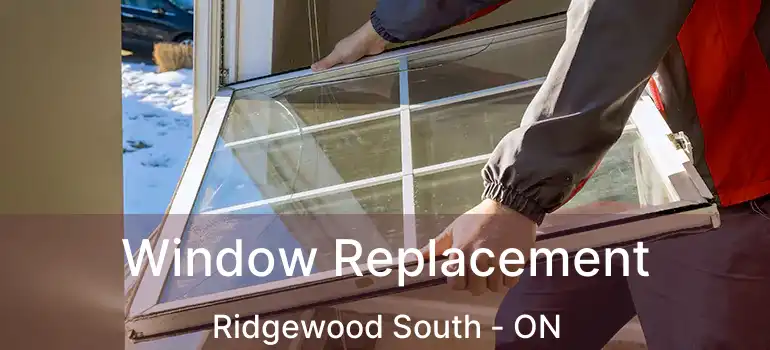  Window Replacement Ridgewood South - ON