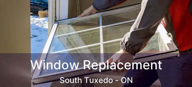  Window Replacement South Tuxedo - ON
