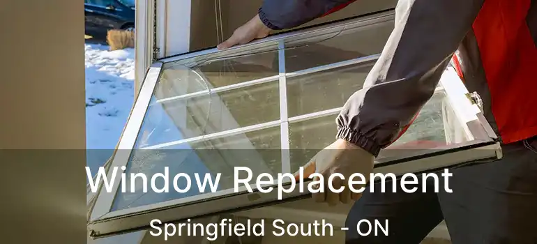 Window Replacement Springfield South - ON